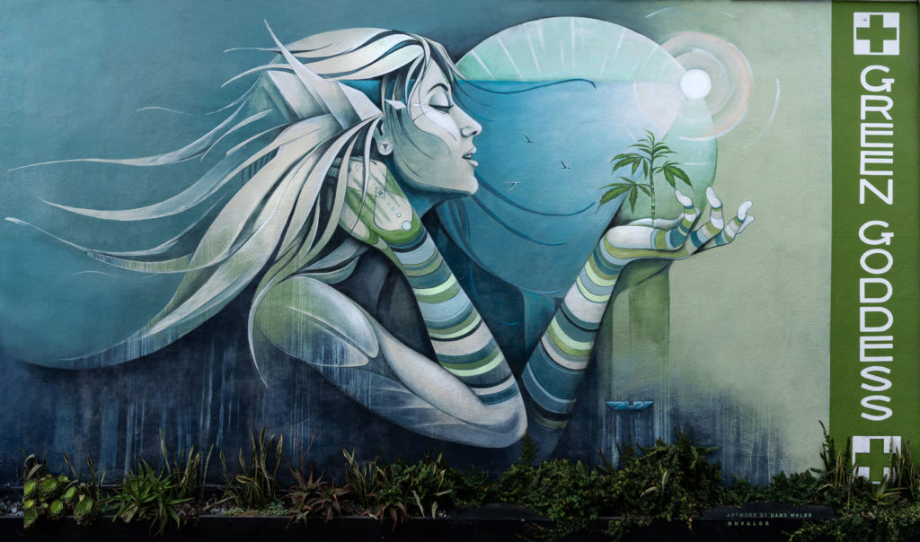 Green Goddess: Your Venice Cannabis Dispensary