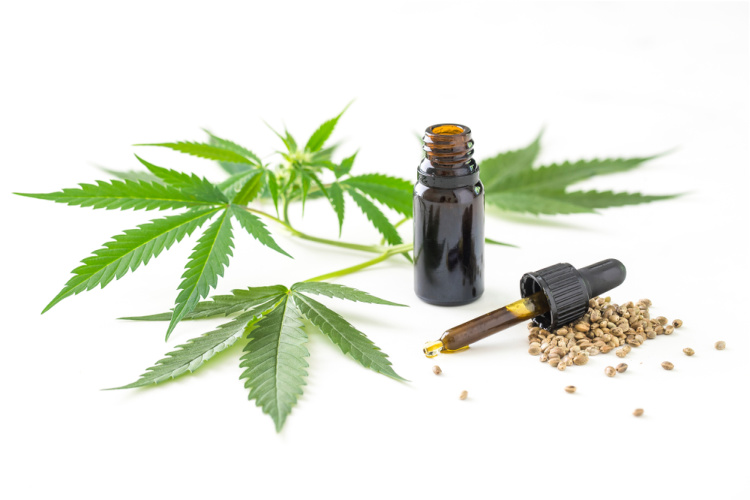 Hemp CBD vs Cannabis CBD seeds and oil
