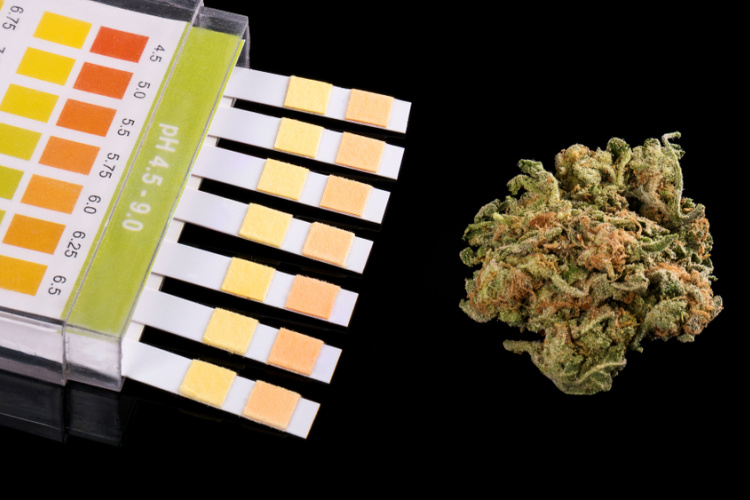 What is THC Testing