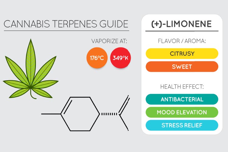 terpenes for pain 3