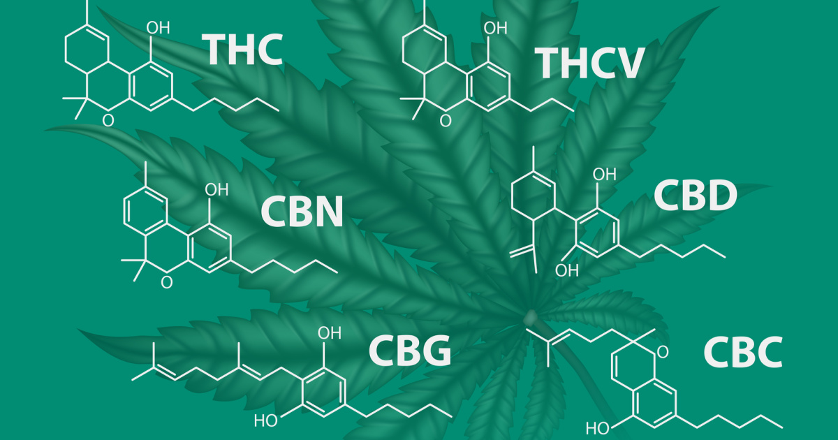 beyond-thc-look-for-cbn-cbg-and-other-new-cannabinoids