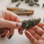 cannabis myths