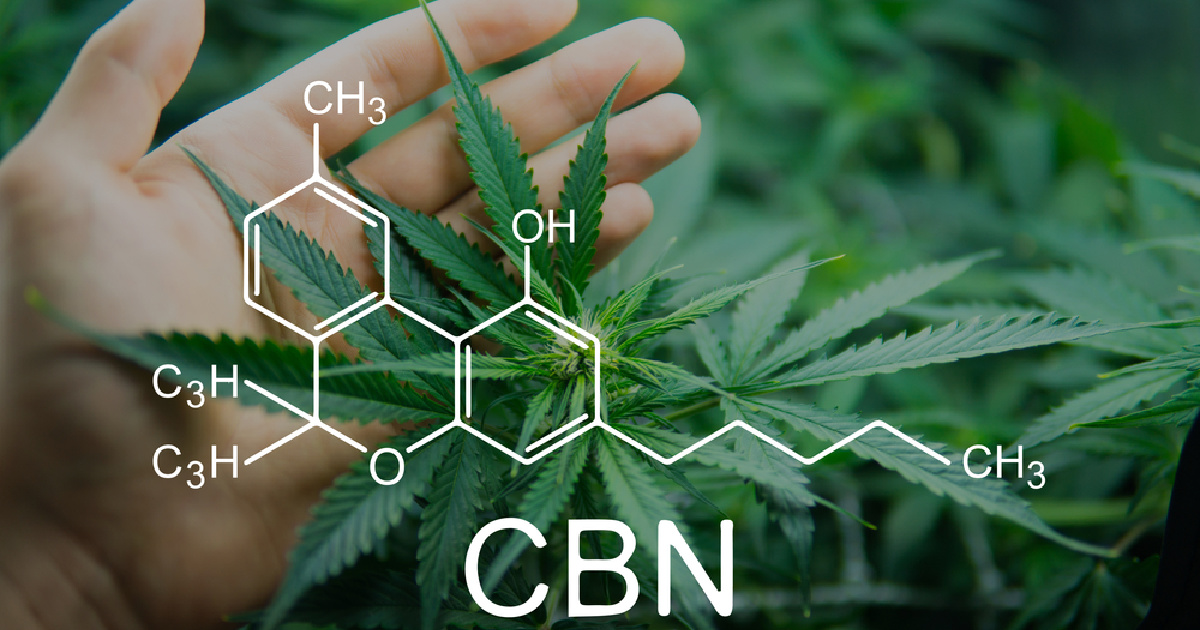 Beyond THC And CBD: Can Cannabinoid CBN Help With Sleep?