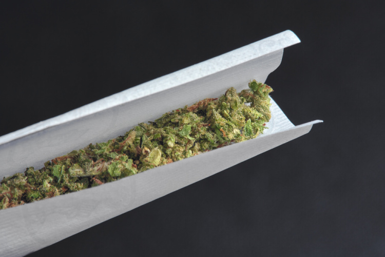 how to roll a joint 1