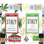 Brand Spotlight: Stiiizy